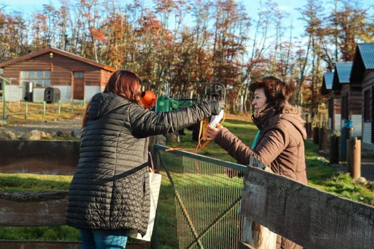 Desde el inicio de la pandemia se descartaron 1122 casos en Ushuaia, 289 en Río Grande y 15 en Tolhuin