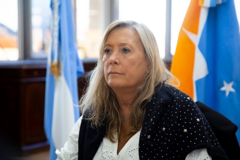 “Cuando llegue alguien, toda la familia va a tener que estar aislada”, anunció la ministra Chapperón