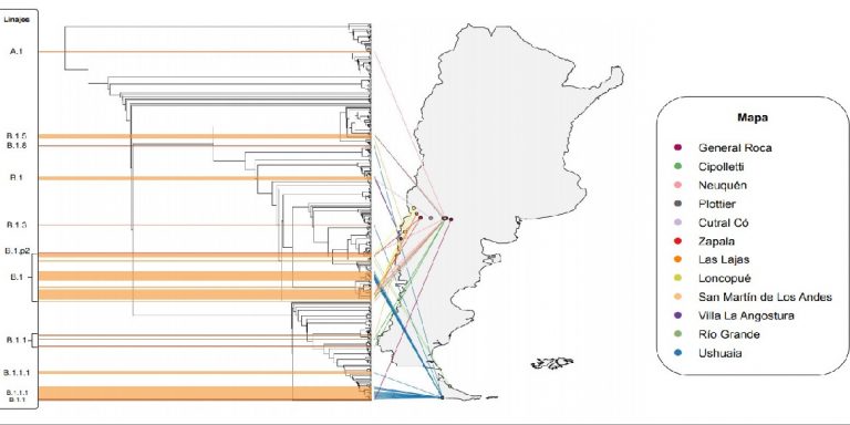 Coronavirus: Científicas y científicos de Tierra del Fuego obtuvieron 57 nuevos genomas del SARS-CoV-2