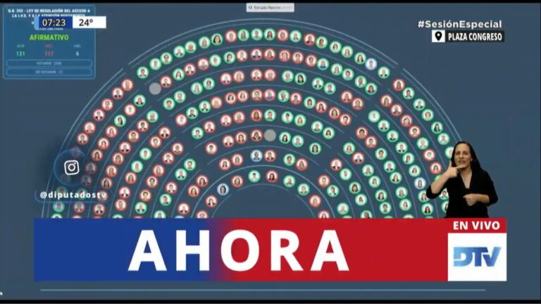 Se aprobó en Diputados el proyecto de Ley de Interrupción Voluntaria del Embarazo