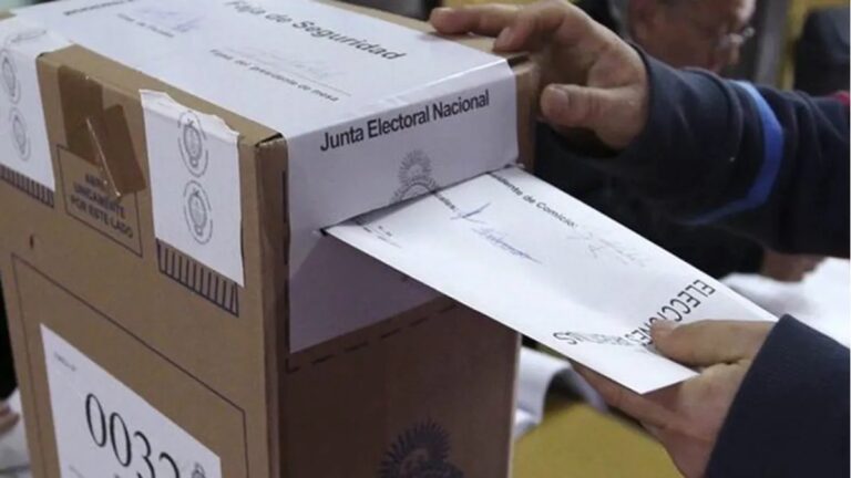 Elecciones PASO: Cómo justificar la no emisión del voto