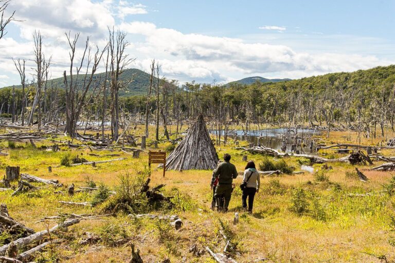 “Naturaleza al fin”: El InFueTur invita a recorrer los diferentes senderos de Tierra del Fuego