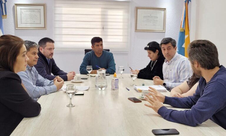 Se presentó un proyecto para establecer la obligatoriedad de Sistema de Retención Infantil en el transporte público