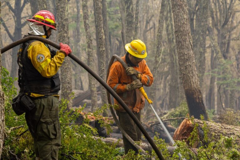 BRIGADISTAS NACIONALES SE SUMARÁN A LA LUCHA CONTRA EL INCENDIO EN LA RESERVA PROVINCIAL CORAZÓN DE LA ISLA