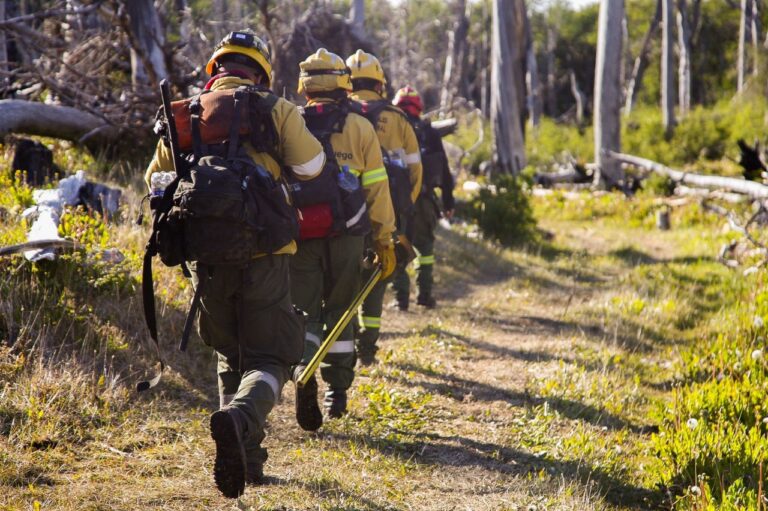 ESTADO DE SITUACIÓN INCENDIO EN LA RESERVA CORAZÓN DE LA ISLA