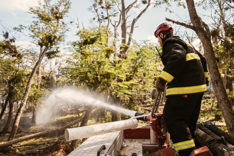 ESTADO DE SITUACIÓN DEL INCENDIO EN LA RESERVA CORAZÓN DE LA ISLA