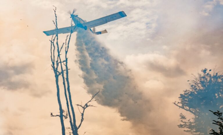 ESTADO DE SITUACIÓN INCENDIO EN LA RESERVA CORAZÓN DE LA ISLA