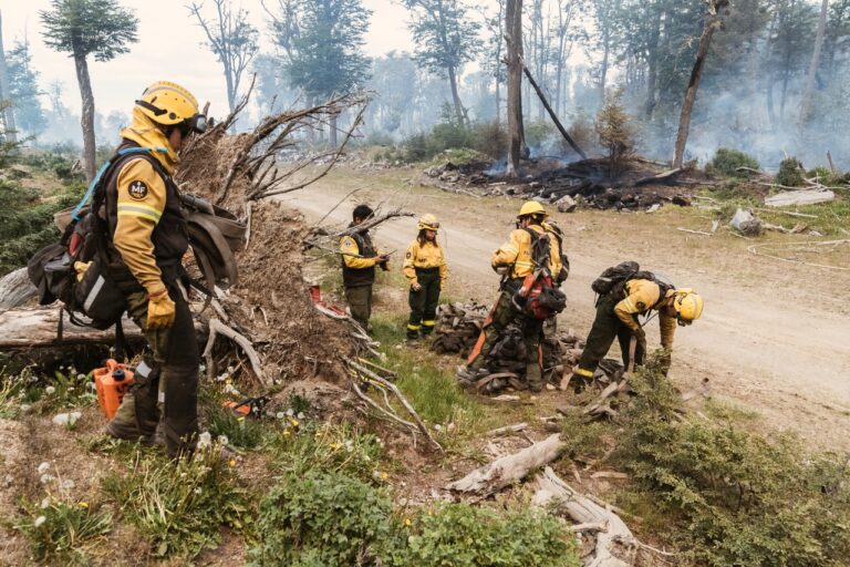 ESTADO DE SITUACIÓN DEL INCENDIO EN LA RESERVA PROVINCIAL CORAZÓN DE LA ISLA