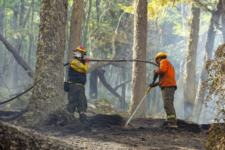 “DESDE ANOCHE EL INCENDIO EN LA RESERVA PASÓ A ESTAR CIRCUNSCRIPTO”