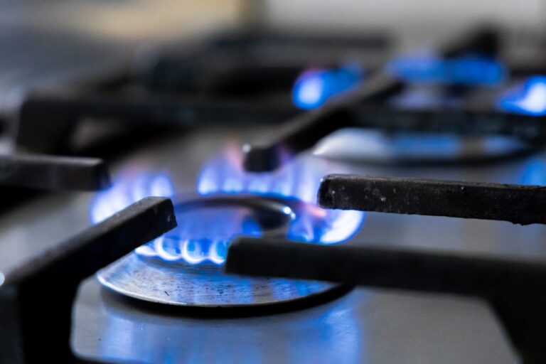 EL GOBIERNO PROVINCIAL EXPRESÓ EN AUDIENCIA PÚBLICA EL RECHAZO A AUMENTOS DESMEDIDOS EN LAS TARIFAS DE GAS
