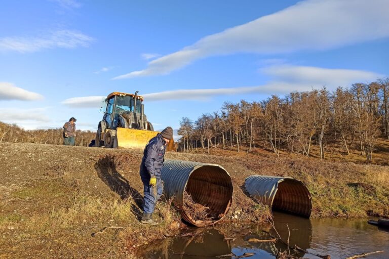 La Dirección Provincial de Vialidad lleva adelante conservación y mantenimiento en diversos sectores de rutas fueguinas
