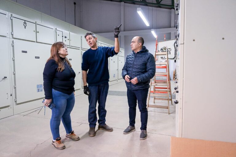 Servicio Energético: Actualización del Sistema en el Centro de Distribución Torelli