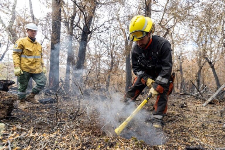 Tierra del Fuego envía brigadistas para combatir incendios en el Parque Nacional Nahuel Huapi